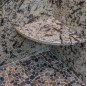Delicatus white granite tiles